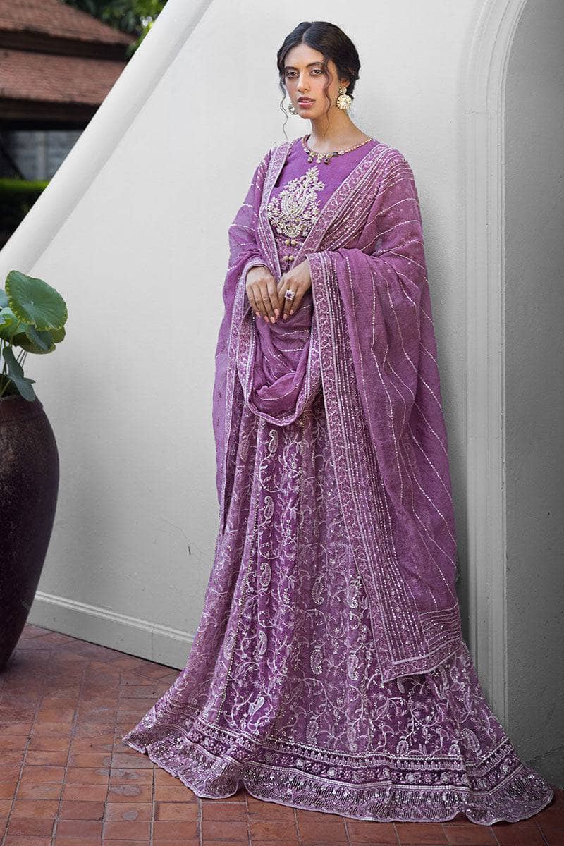 Mushq Luxury Chiffon Collection Mushq Roohi 24/Naina