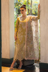 img_mushq_orient_express_awwal_boutique