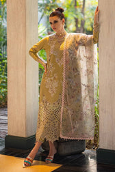 Restocked/Mushq Orient Express/Delice
