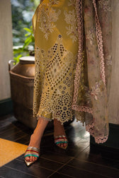Restocked/Mushq Orient Express/Delice