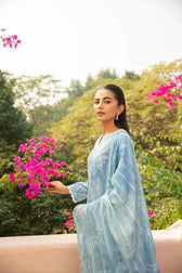 img_nishat_lawn_24_awwal_boutique