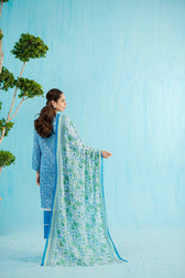 img_nishat_lawn_24_awwal_boutique