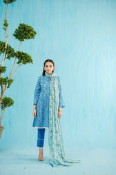 img_nishat_lawn_24_awwal_boutique