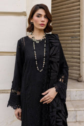 Restocked/Nureh Exclusive Velvet Palachi Shawl Collection