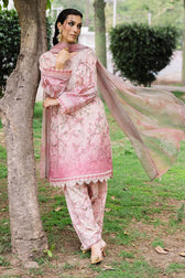 img_nureh_daily_delight_awwal_boutique