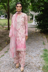 Nureh Lawn Pakistani Suit Nureh Daily Delight Chikankari Lace Collection/01