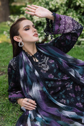 Nureh Daily Delight Chikankari Lace Collection/06