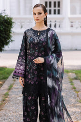 Nureh Daily Delight Chikankari Lace Collection/06