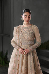 Qalamkar Elirah Wedding Formals 25/Hand Work/MF-01 LUSTRA