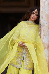 Qalamkar Chiffon Pakistani Suit Qalamkar Wedding Formals 24/Vol2/Dania SH-05