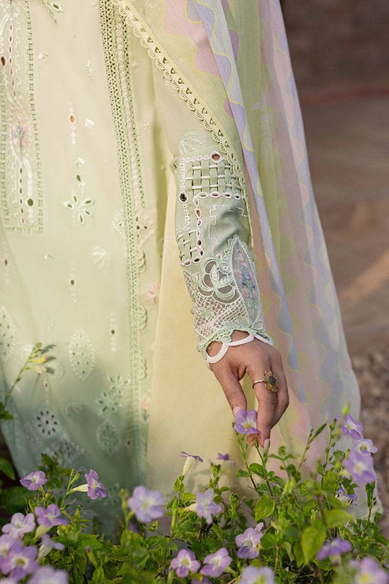 Qalamkar Q Line Lawn 25/QM-08 Maia