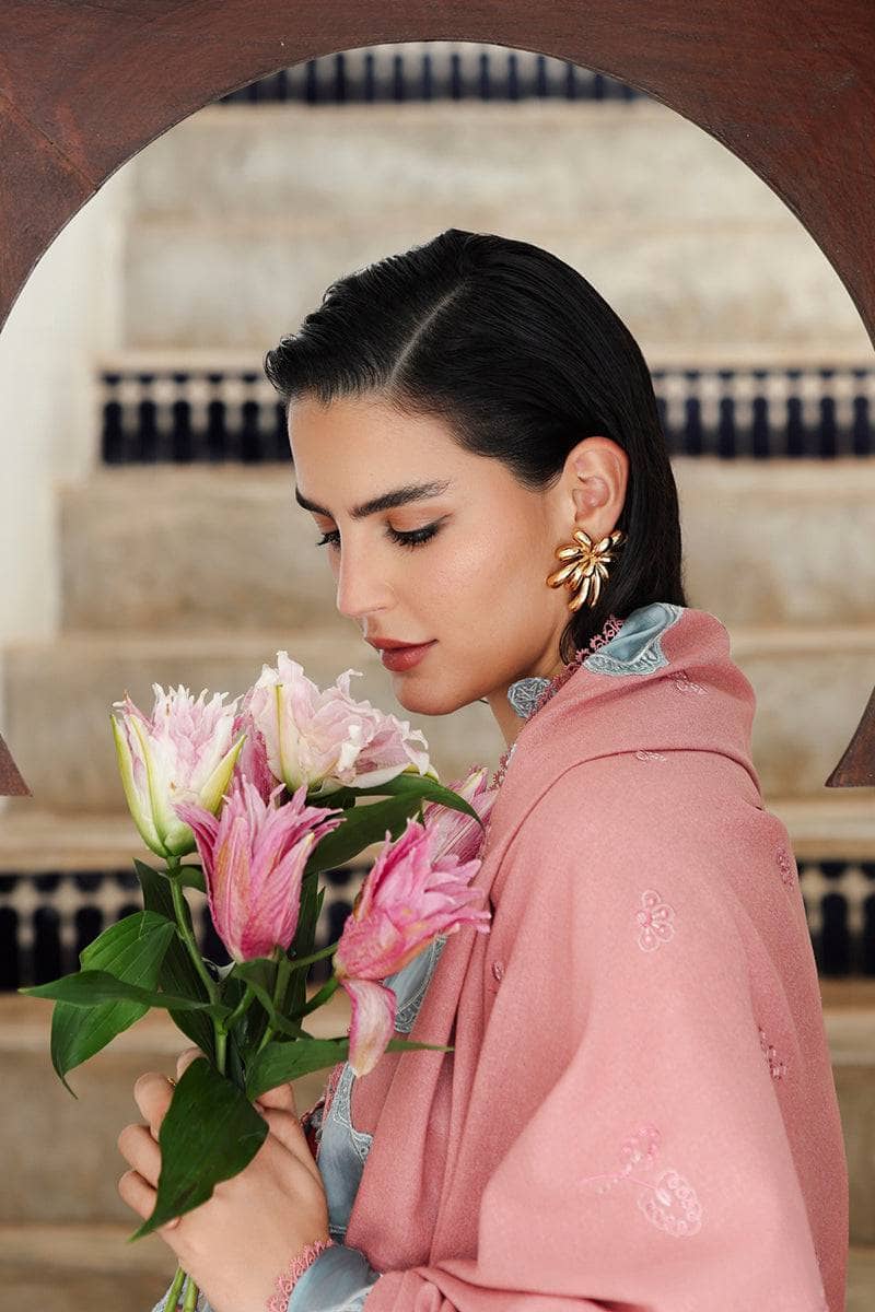 Qalamkar Winter Pakistani Suits Restocked/Qalamkar Q Line Linen 25/Faye/KL 10