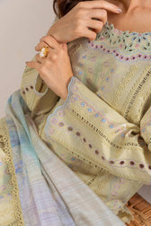Rang Rasiya Carnation Lawn 25/Vol 2/9/Nora/Yellow/Silk Dupatta