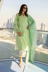 Rang Rasiya Carnation Lawn Pakistani Suits Rang Rasiya Carnation Lawn/Bella/Sea Green