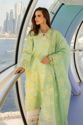 Rang Rasiya Carnation Lawn Pakistani Suits Rang Rasiya Carnation Lawn/Bella/Sea Green