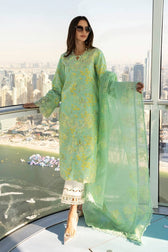 Rang Rasiya Carnation Lawn Pakistani Suits Rang Rasiya Carnation Lawn/Bella/Sea Green