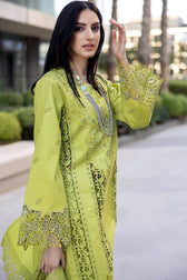 Rang Rasiya Carnation Lawn Pakistani Suits Restocked/Rang Rasiya Carnation Lawn/Aaleen/Parrot Green