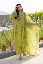 Rang Rasiya Carnation Lawn Pakistani Suits Restocked/Rang Rasiya Carnation Lawn/Aaleen/Parrot Green