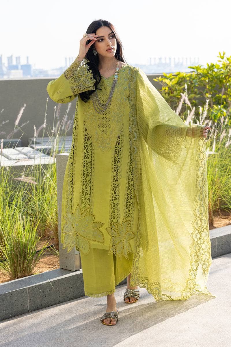 Rang Rasiya Carnation Lawn Pakistani Suits Restocked/Rang Rasiya Carnation Lawn/Aaleen/Parrot Green