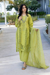 Rang Rasiya Carnation Lawn Pakistani Suits Restocked/Rang Rasiya Carnation Lawn/Aaleen/Parrot Green