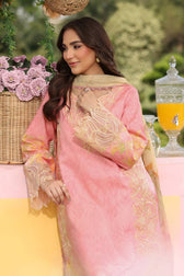 Rang Rasiya Lifestyle 25/Vol 2/Vaneeza/Pink