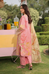 Rang Rasiya Lifestyle 25/Vol 2/Vaneeza/Pink