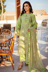 Rang Rasiya Premium 25/Elaheh