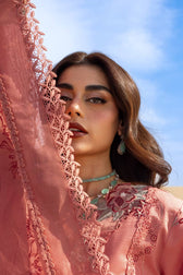 Restocked/Rang Rasiya Premium 26/Amani/Soft Tangerine