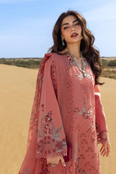 Restocked/Rang Rasiya Premium 26/Amani/Soft Tangerine
