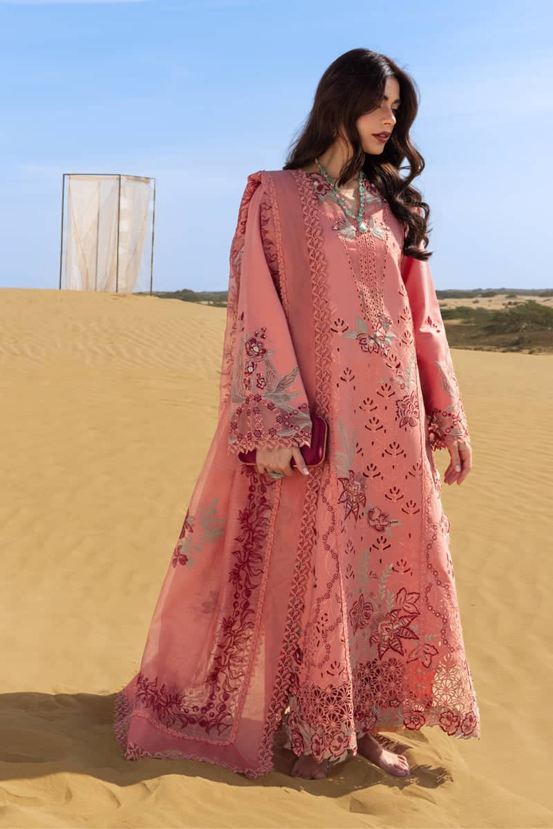 Restocked/Rang Rasiya Premium 26/Amani/Soft Tangerine