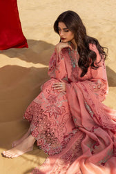Restocked/Rang Rasiya Premium 26/Amani/Soft Tangerine