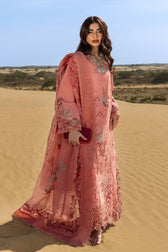 Restocked/Rang Rasiya Premium 26/Amani/Soft Tangerine