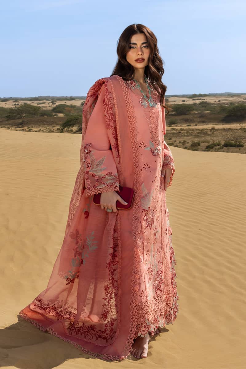 Restocked/Rang Rasiya Premium 26/Amani/Soft Tangerine