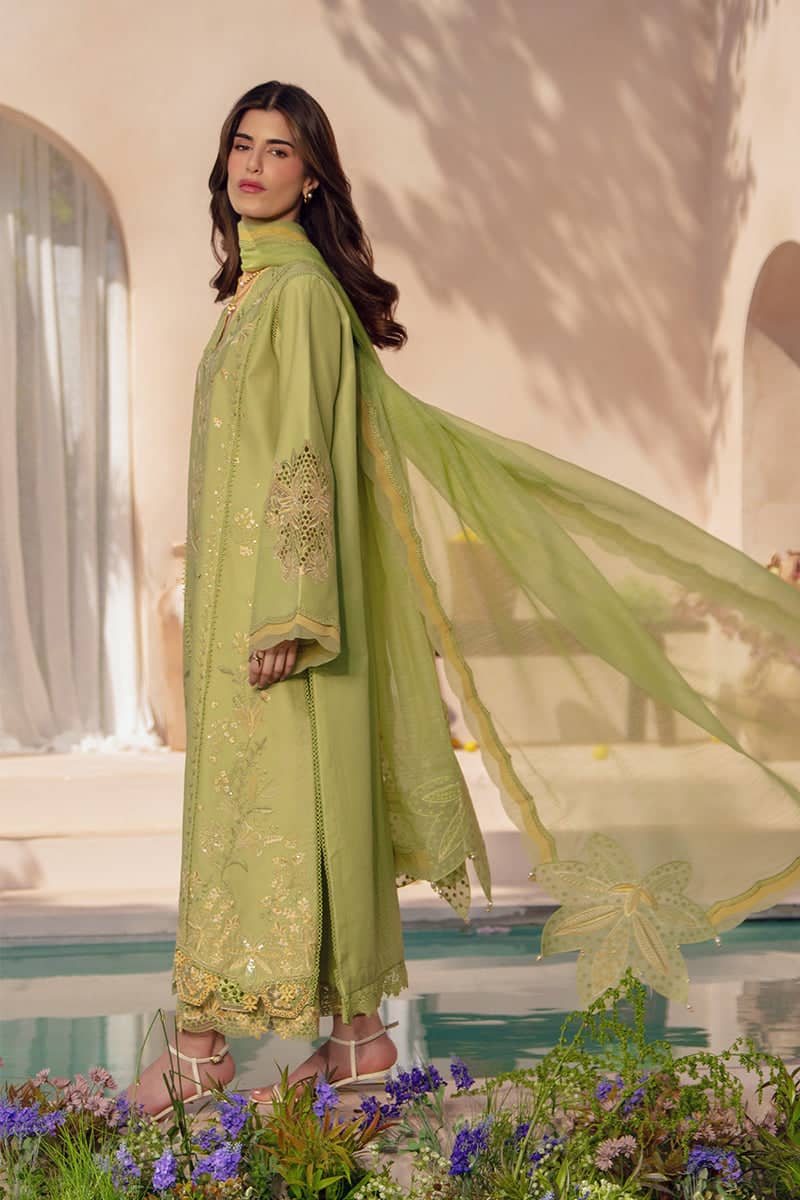 Rang Rasiya Premium 26/Vol 2/Nadine/Mint