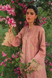 Rang Rasiya Premium 26/Vol 2/Rania/Candy Pink