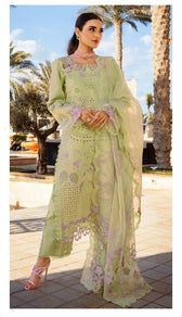 Restocked/Rang Rasiya Premium 25/Ayleen