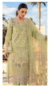Restocked/Rang Rasiya Premium 25/Ayleen