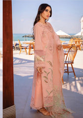 Restocked/Rang Rasiya Premium 25/Bareeha
