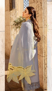 Restocked/Rang Rasiya Premium 25/Elnaz