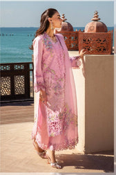 Restocked/Rang Rasiya Premium 25/Natalia