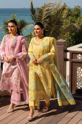 Restocked/Rang Rasiya Premium 25/Natalia