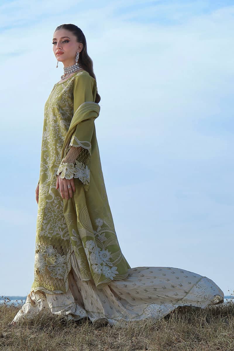 Restocked/Rang Rasiya Premium 26/Zariah/Olive