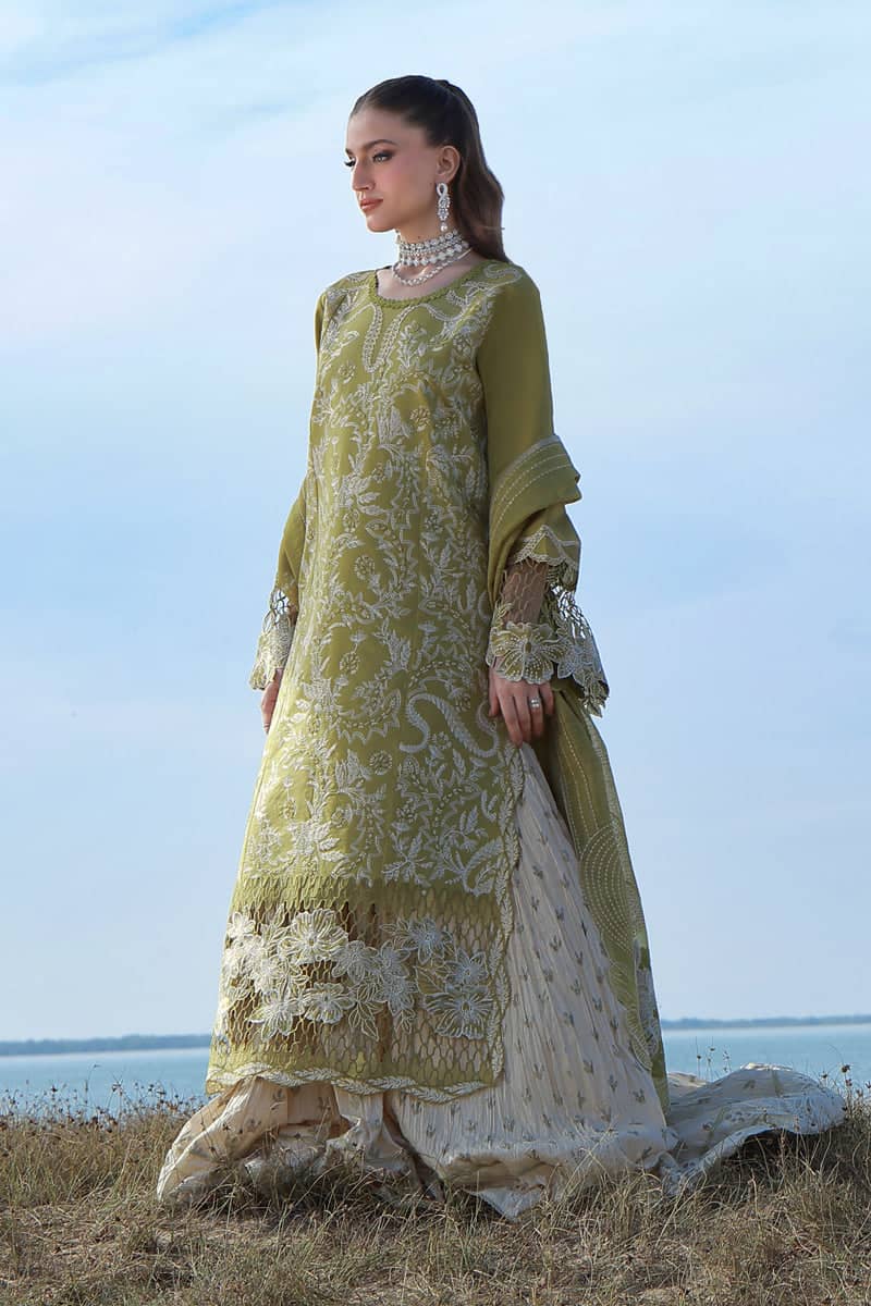 Restocked/Rang Rasiya Premium 26/Zariah/Olive