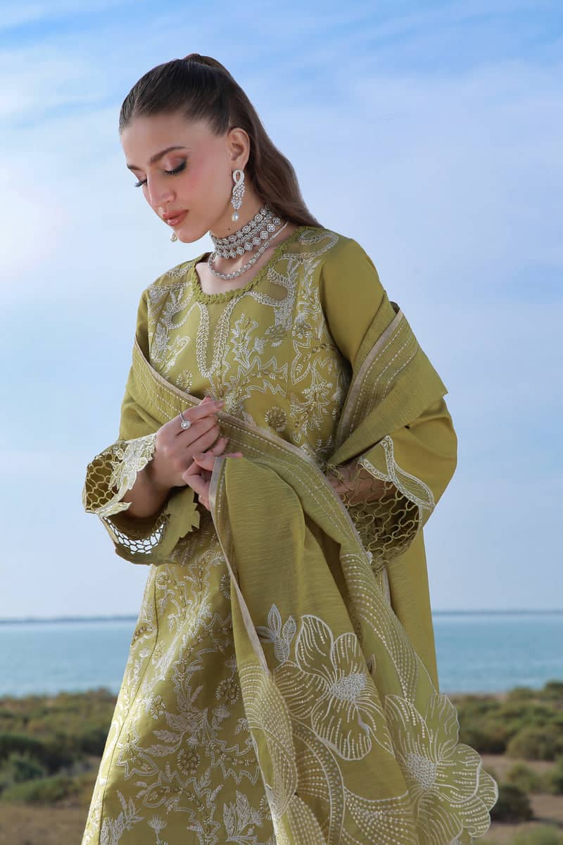 Restocked/Rang Rasiya Premium 26/Zariah/Olive