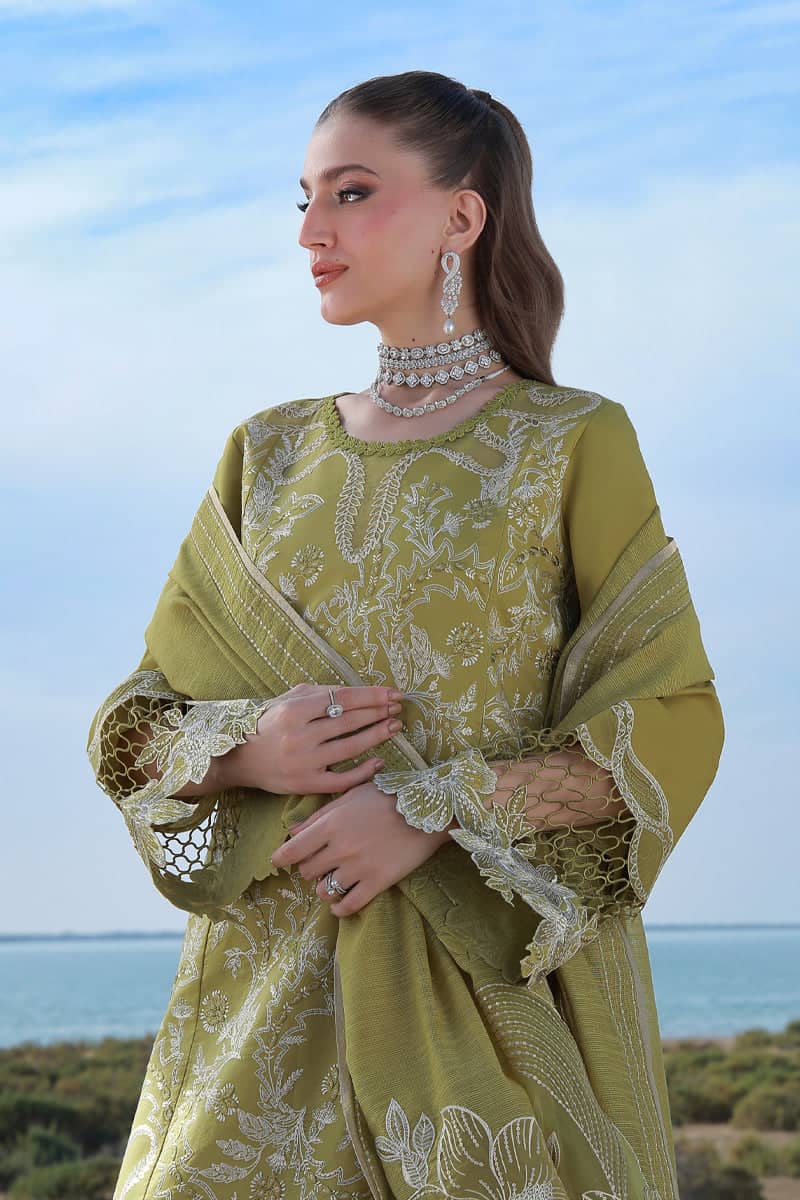 Restocked/Rang Rasiya Premium 26/Zariah/Olive