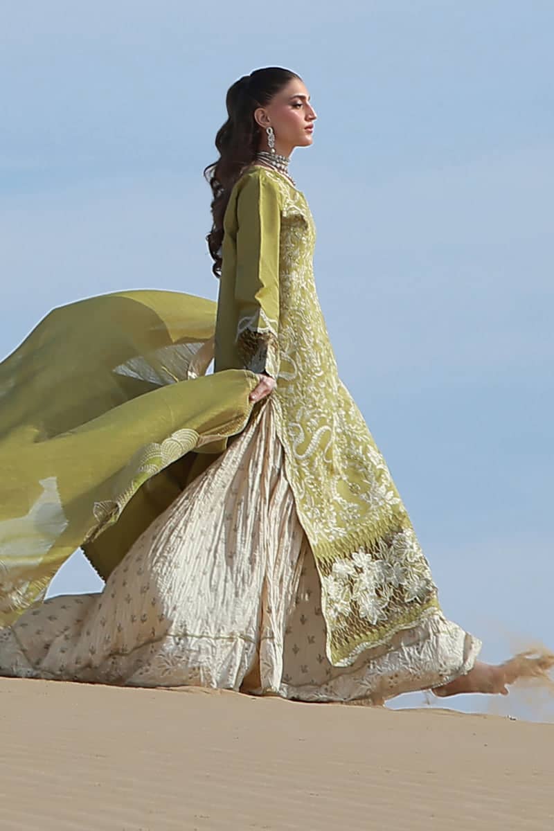 Restocked/Rang Rasiya Premium 26/Zariah/Olive