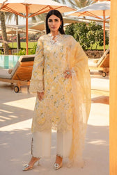 img_rang_rasiya_carnation_awwal_boutique