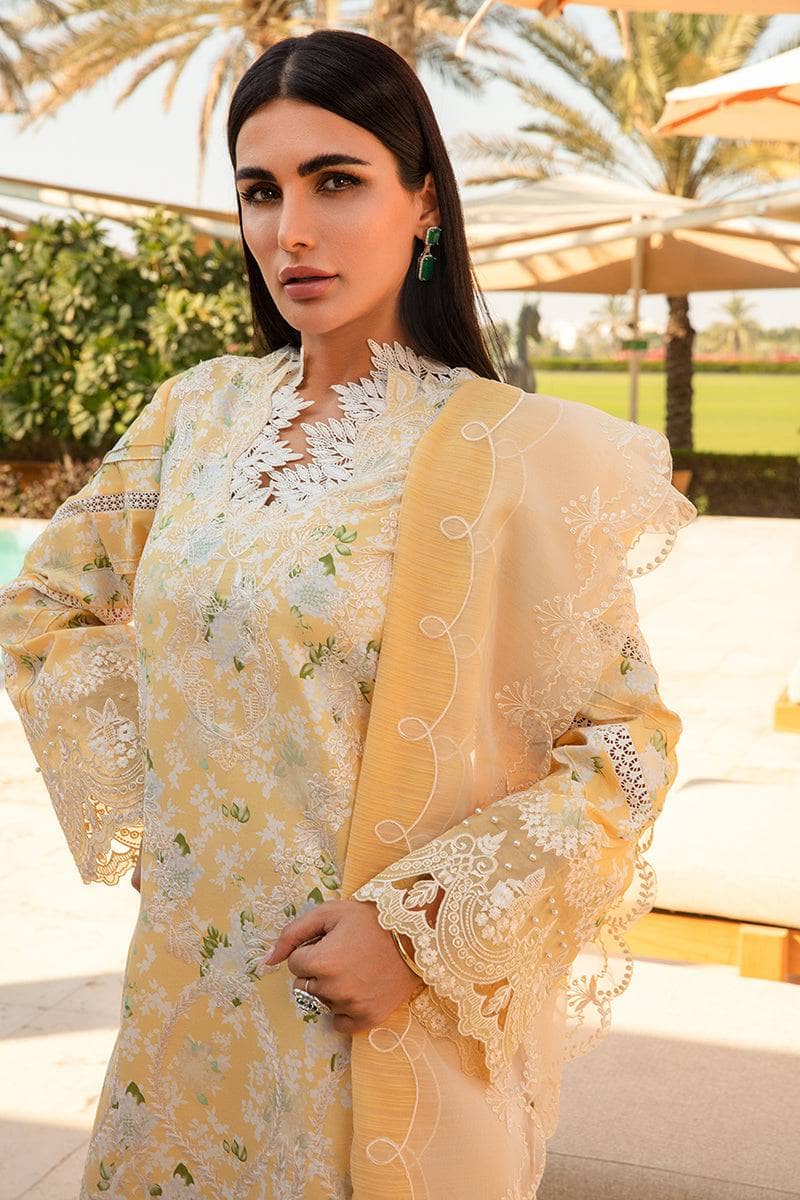 img_rang_rasiya_carnation_awwal_boutique