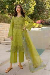 img_rang_rasiya_carnation_awwal_boutique