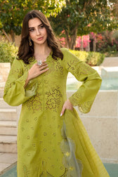 img_rang_rasiya_carnation_awwal_boutique